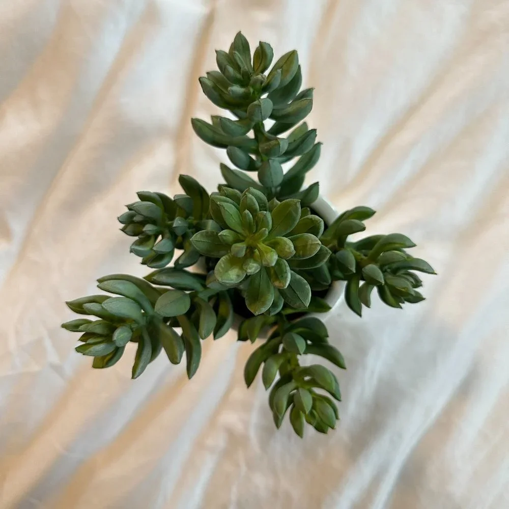 Threshold Artificial Greenery Tabletop Arrangement